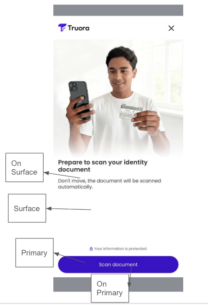 Default theme example - Face validation screen